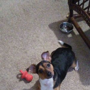 Meet your Posher, Patti